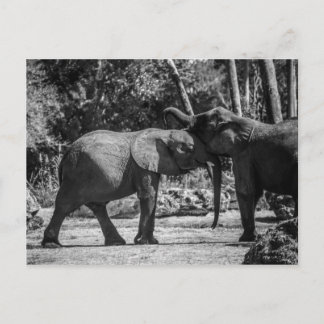 Briefkaart voor afspeelbare elephants