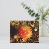 Briefkaart voor Agaric-paddenstoel (Staand voorkant)