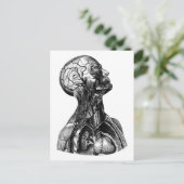 Briefkaart voor anatomische torsomtekening (Staand voorkant)