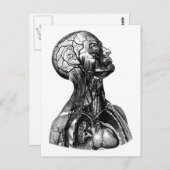 Briefkaart voor anatomische torsomtekening (Voorkant / Achterkant)