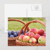 Briefkaart voor appelen en stekken (Voorkant / Achterkant)