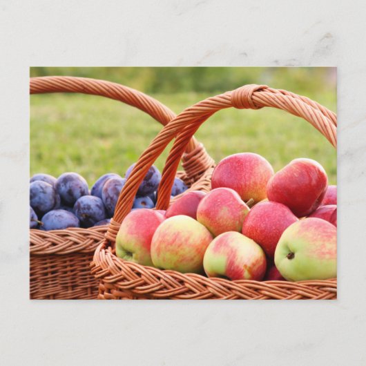 Briefkaart voor appelen en stekken (Voorkant)