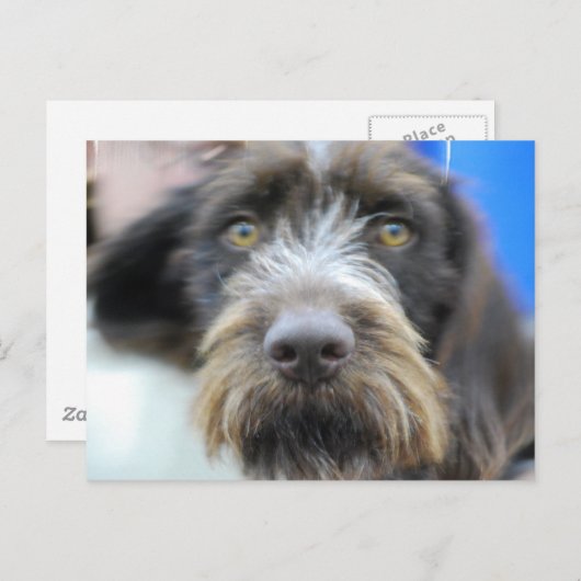 Briefkaart voor behartigde haren (Voorkant / Achterkant)