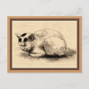 Briefkaart voor binnenhuiskattentekening Japanse i
