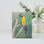 Briefkaart voor blauw en gouden vogelpest (Staand voorkant)