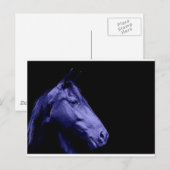 Briefkaart voor blauwpaardenontwerp (Voorkant / Achterkant)