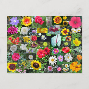 Briefkaart voor bloem
