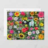 Briefkaart voor bloem (Voorkant / Achterkant)