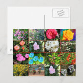 Briefkaart voor bloem (Voorkant / Achterkant)