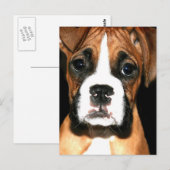 Briefkaart voor boxer (Voorkant / Achterkant)
