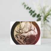 Briefkaart voor Caribische bomen en landschappen (Staand voorkant)