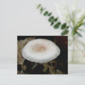 Briefkaart voor champignons en roam (Staand voorkant)