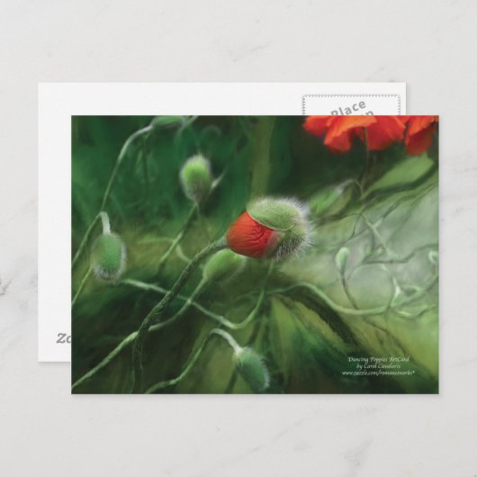 Briefkaart voor danspapies (Voorkant / Achterkant)