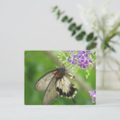 Briefkaart voor de bestuiving van vlinten (Staand voorkant)