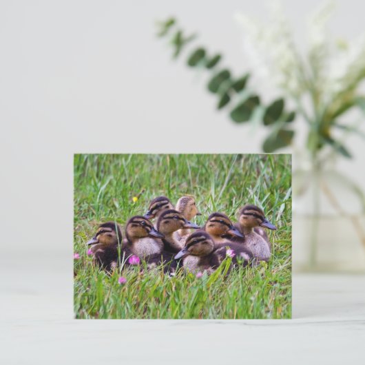 Briefkaart voor de beuzeling (Staand voorkant)