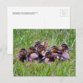 Briefkaart voor de beuzeling (Voorkant / Achterkant)