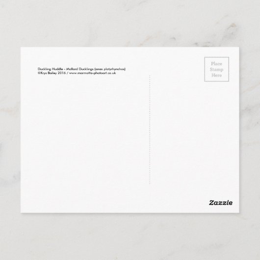 Briefkaart voor de beuzeling (Achterkant)