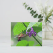 Briefkaart voor de klapmethode (Staand voorkant)