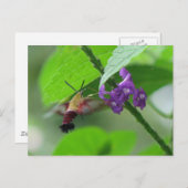 Briefkaart voor de klapmethode (Voorkant / Achterkant)