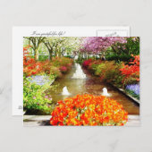 Briefkaart voor de kleuren van het leven (Voorkant / Achterkant)