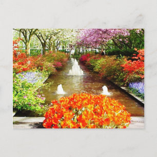 Briefkaart voor de kleuren van het leven