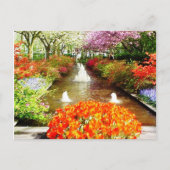 Briefkaart voor de kleuren van het leven (Voorkant)