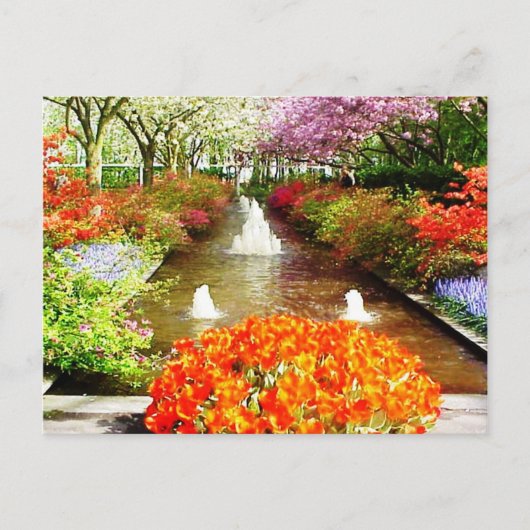 Briefkaart voor de kleuren van het leven (Voorkant)