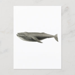 BRIEFKAART VOOR DE VERLICHTING VAN DE WALEN