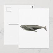  BRIEFKAART VOOR DE VERLICHTING VAN DE WALEN (Voorkant / Achterkant)