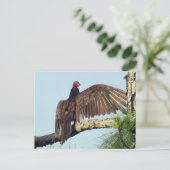 Briefkaart voor de visteelt in Turkije (Staand voorkant)