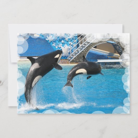 Briefkaart voor de walvisuitnodiging (Voorkant)