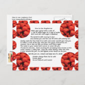 Briefkaart voor de winning van frambozen fruit (Voorkant / Achterkant)