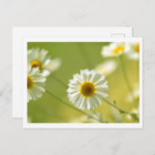 Briefkaart voor de zomertijd (Voorkant / Achterkant)