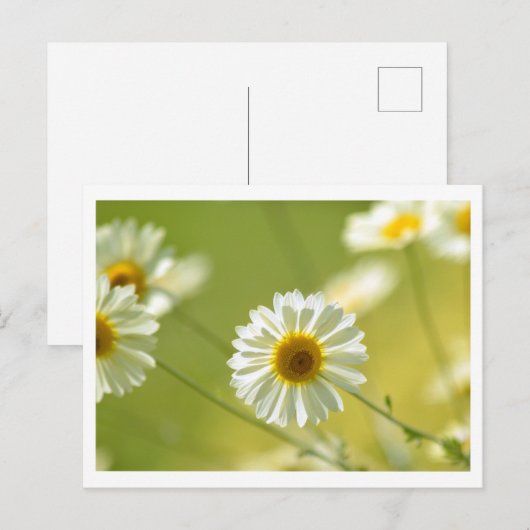 Briefkaart voor de zomertijd (Voorkant / Achterkant)