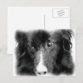 Briefkaart voor de Zwarte Grens van de Kunst van h (Voorkant / Achterkant)