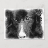 Briefkaart voor de Zwarte Grens van de Kunst van h (Voorkant)