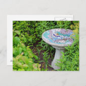 Briefkaart voor decoratieve vogelbaddruk (Voorkant / Achterkant)