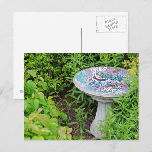 Briefkaart voor decoratieve vogelbaddruk (Voorkant / Achterkant)