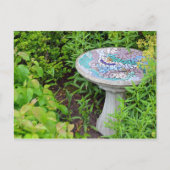 Briefkaart voor decoratieve vogelbaddruk (Voorkant)