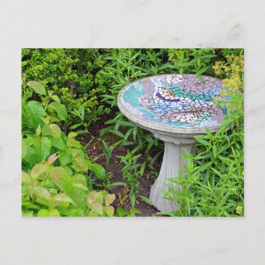 Briefkaart voor decoratieve vogelbaddruk (Voorkant)