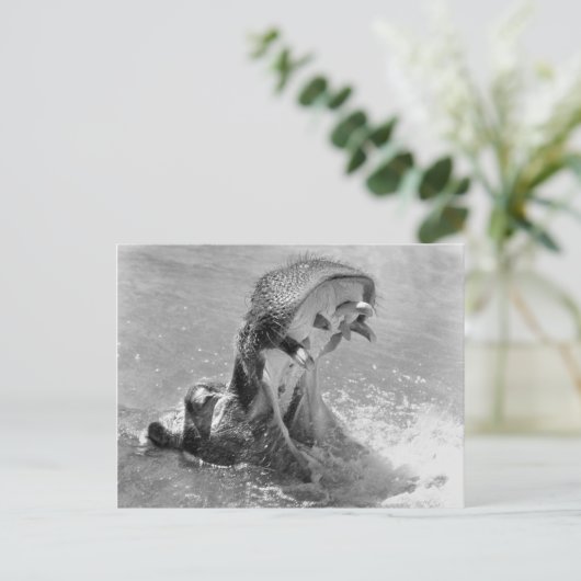 Briefkaart voor Diervoeding (Staand voorkant)