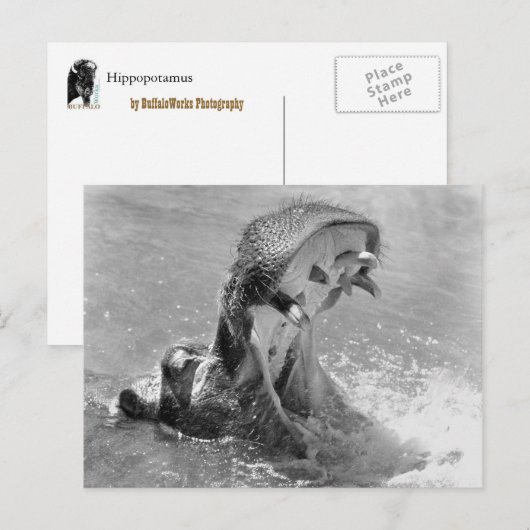 Briefkaart voor Diervoeding (Voorkant / Achterkant)