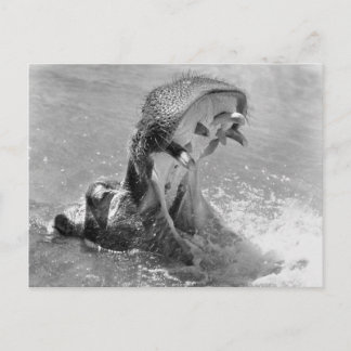 Briefkaart voor Diervoeding