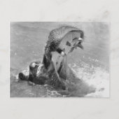 Briefkaart voor Diervoeding (Voorkant)