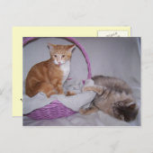 briefkaart voor frambozen (Voorkant / Achterkant)