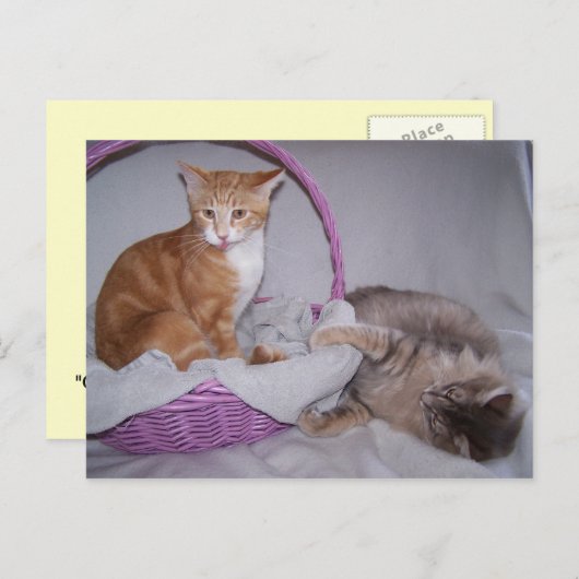 briefkaart voor frambozen (Voorkant / Achterkant)