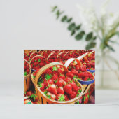 Briefkaart voor fruit en levensmiddelen 4 (Staand voorkant)