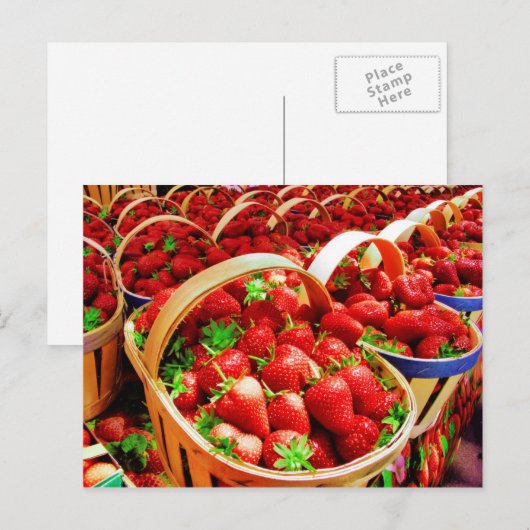 Briefkaart voor fruit en levensmiddelen 4 (Voorkant / Achterkant)