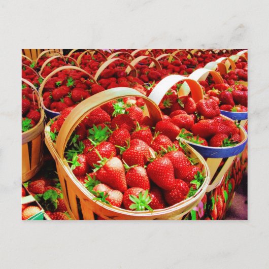 Briefkaart voor fruit en levensmiddelen 4 (Voorkant)