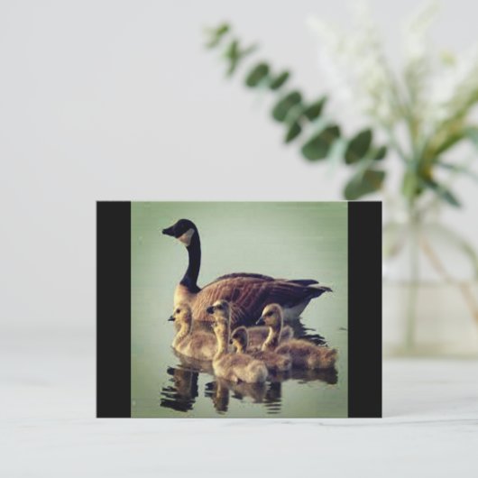 Briefkaart voor ganzen en baby's (Staand voorkant)